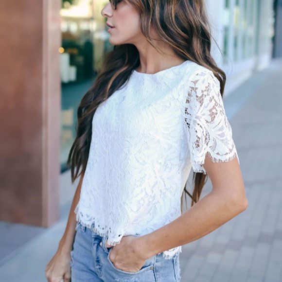 CAMILLA Lace Short Sleeve  Blouse - Picture 6 of 8